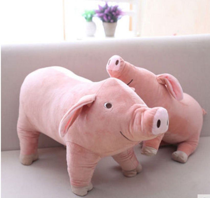 Cutie Pig Plush Toy