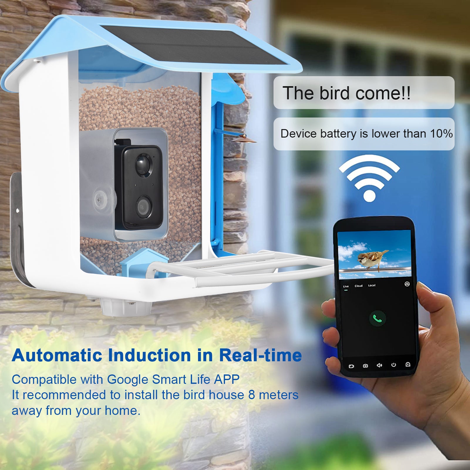 Smart Bird Feeder AI Recognition APP Camera